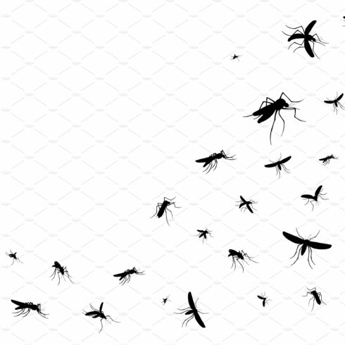 Isolated flying mosquitoes cover image.