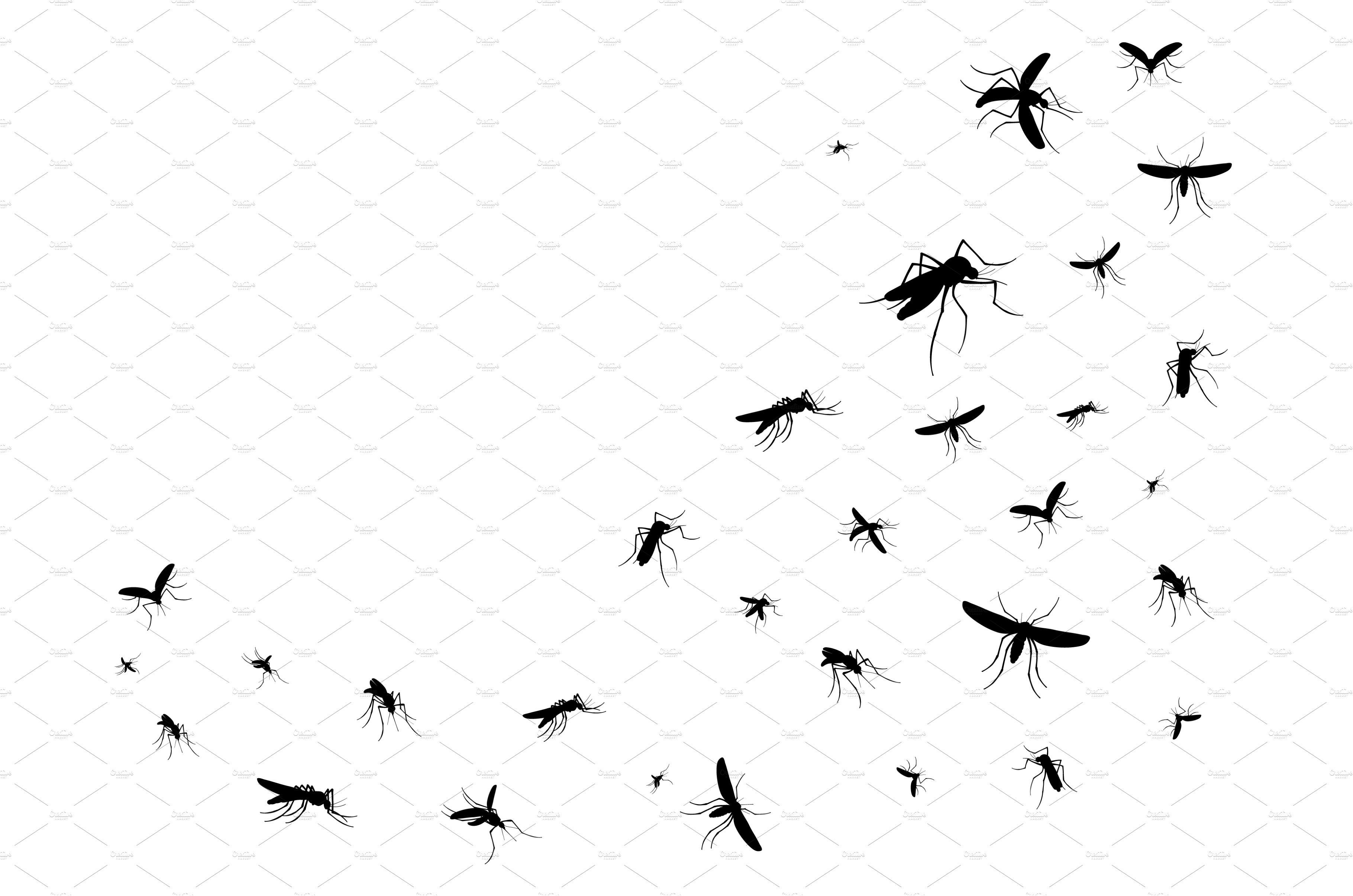 Isolated flying mosquitoes cover image.