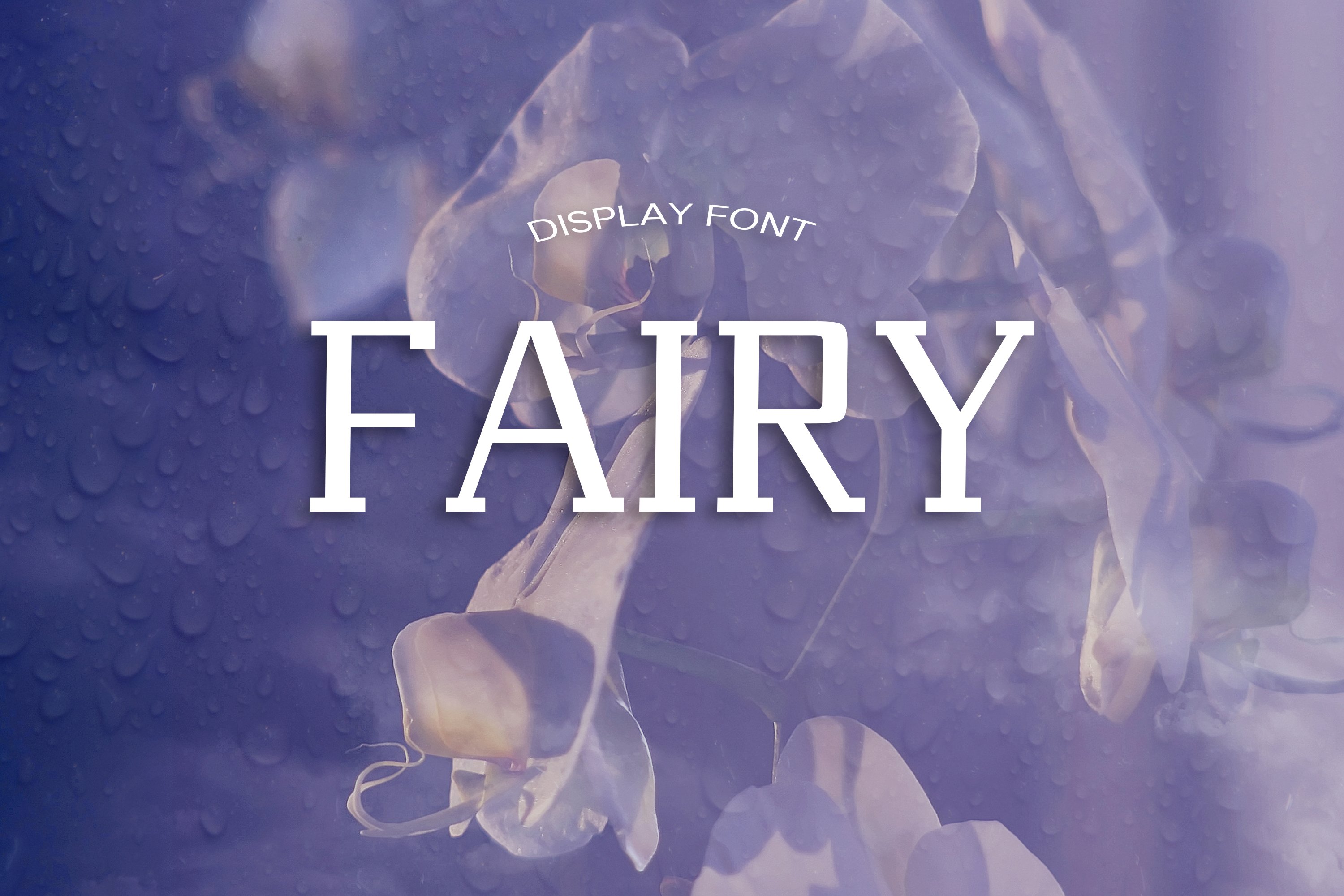 FAIRY font cover image.