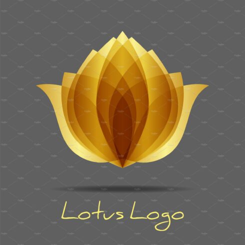 Golden lotus logo. Design flower cover image.