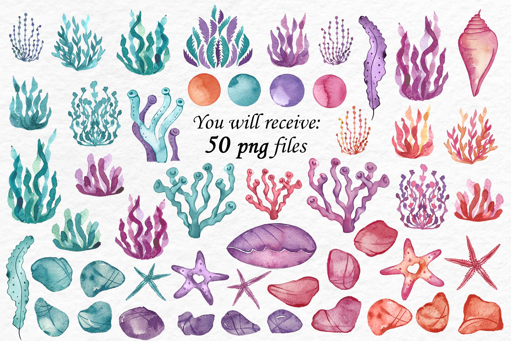 Watercolor Seaweed Clipart preview image.
