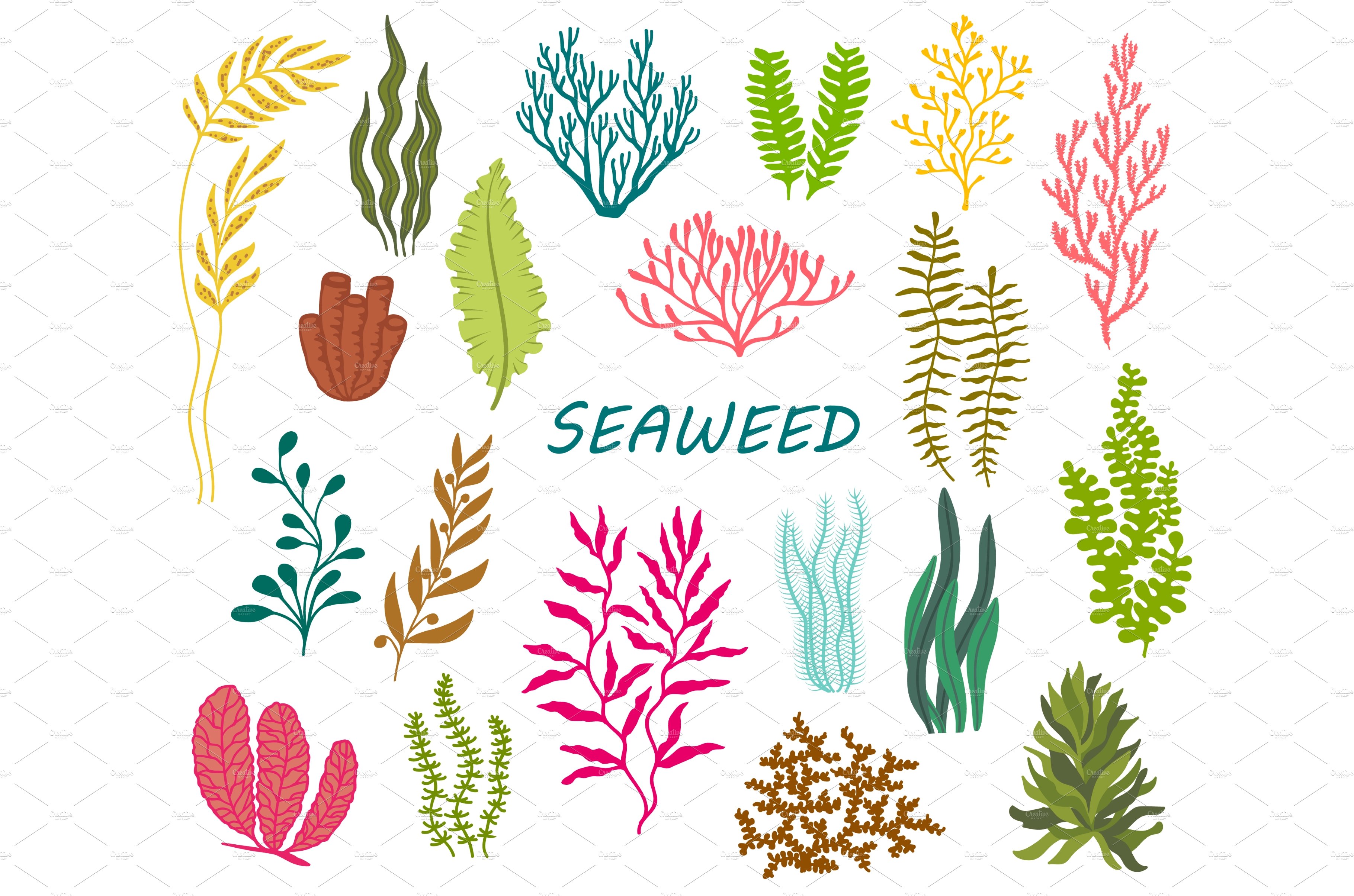 Underwater seaweed, coral reef cover image.