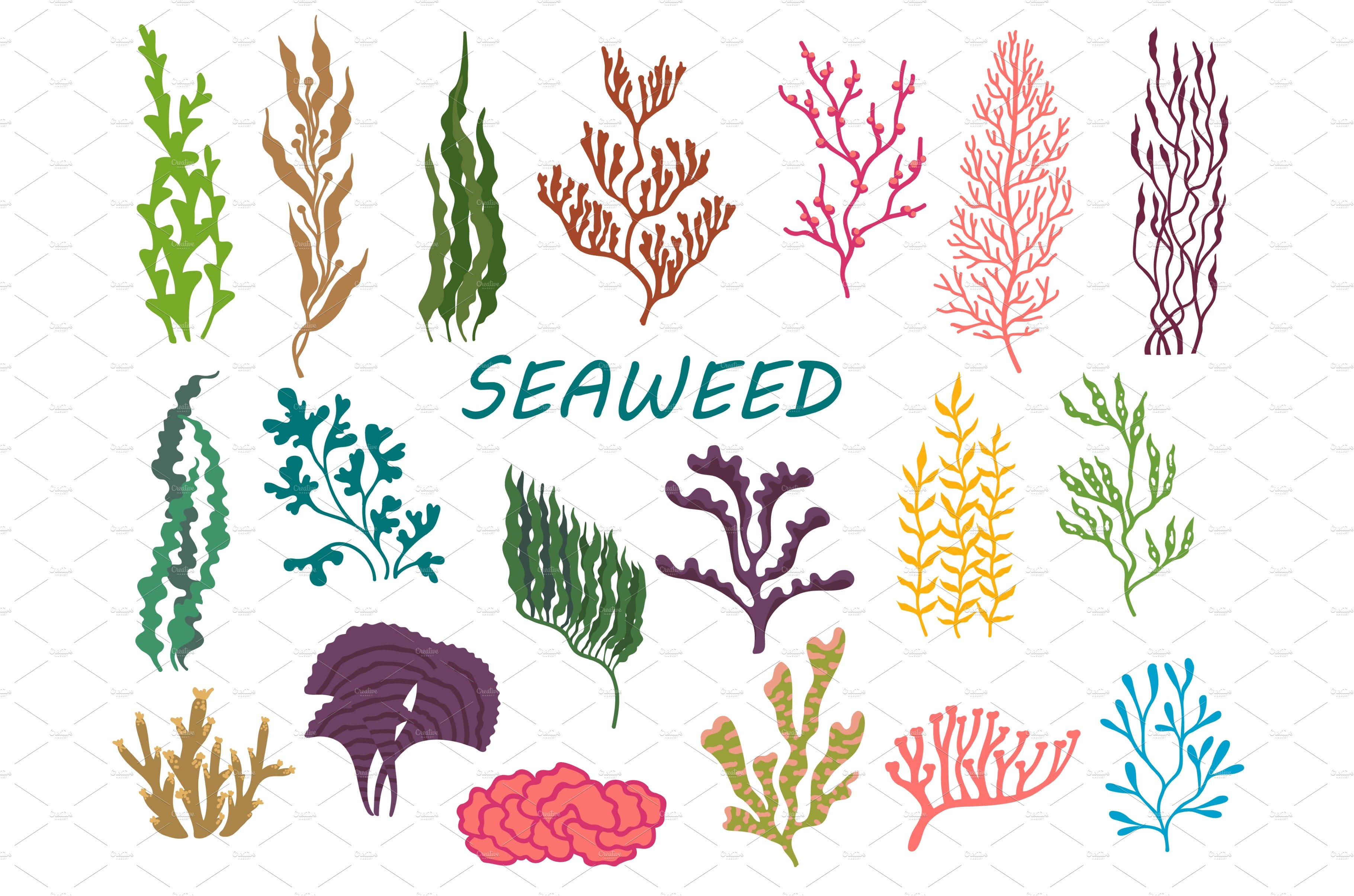 Underwater seaweed plants