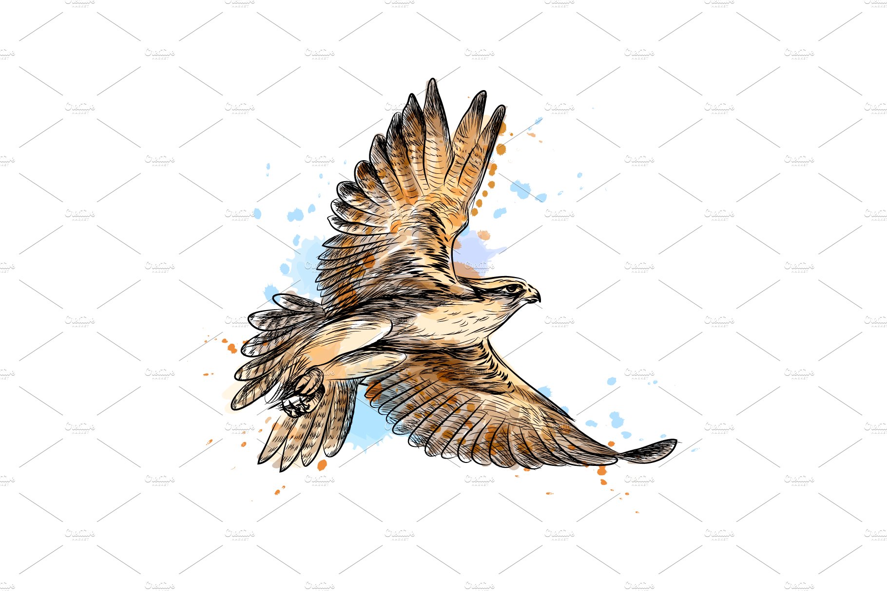 Falcon in flight cover image.