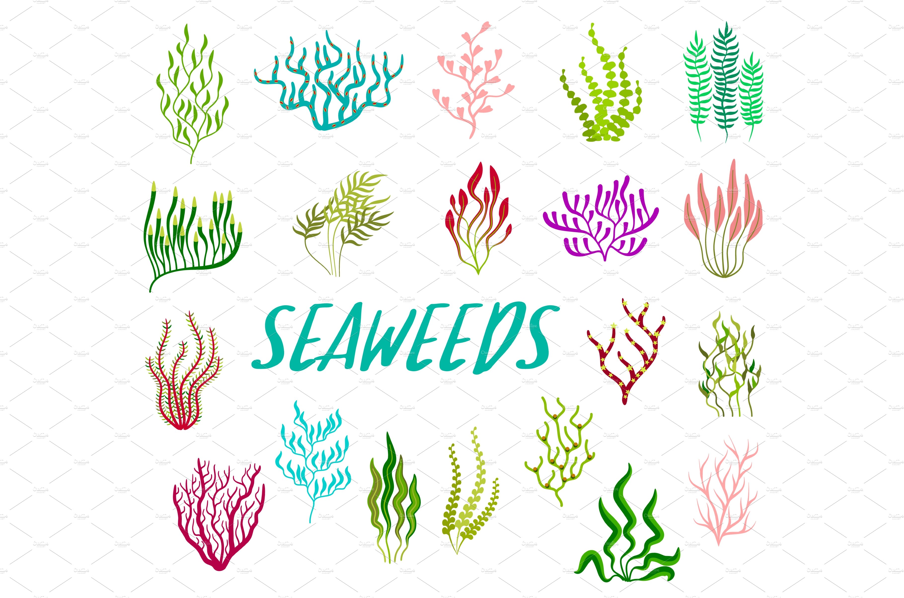 Underwater seaweed plants cover image.