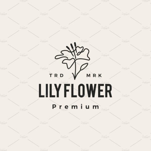 lily flower hipster vintage logo cover image.