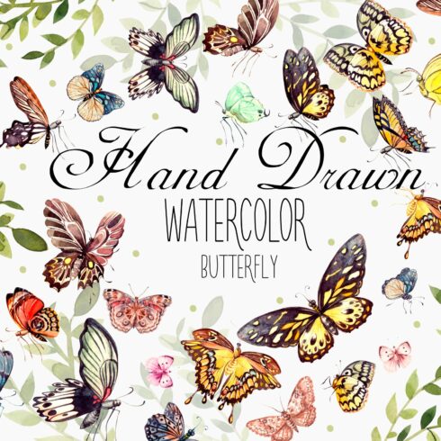 Beautiful watercolor butterflies cover image.