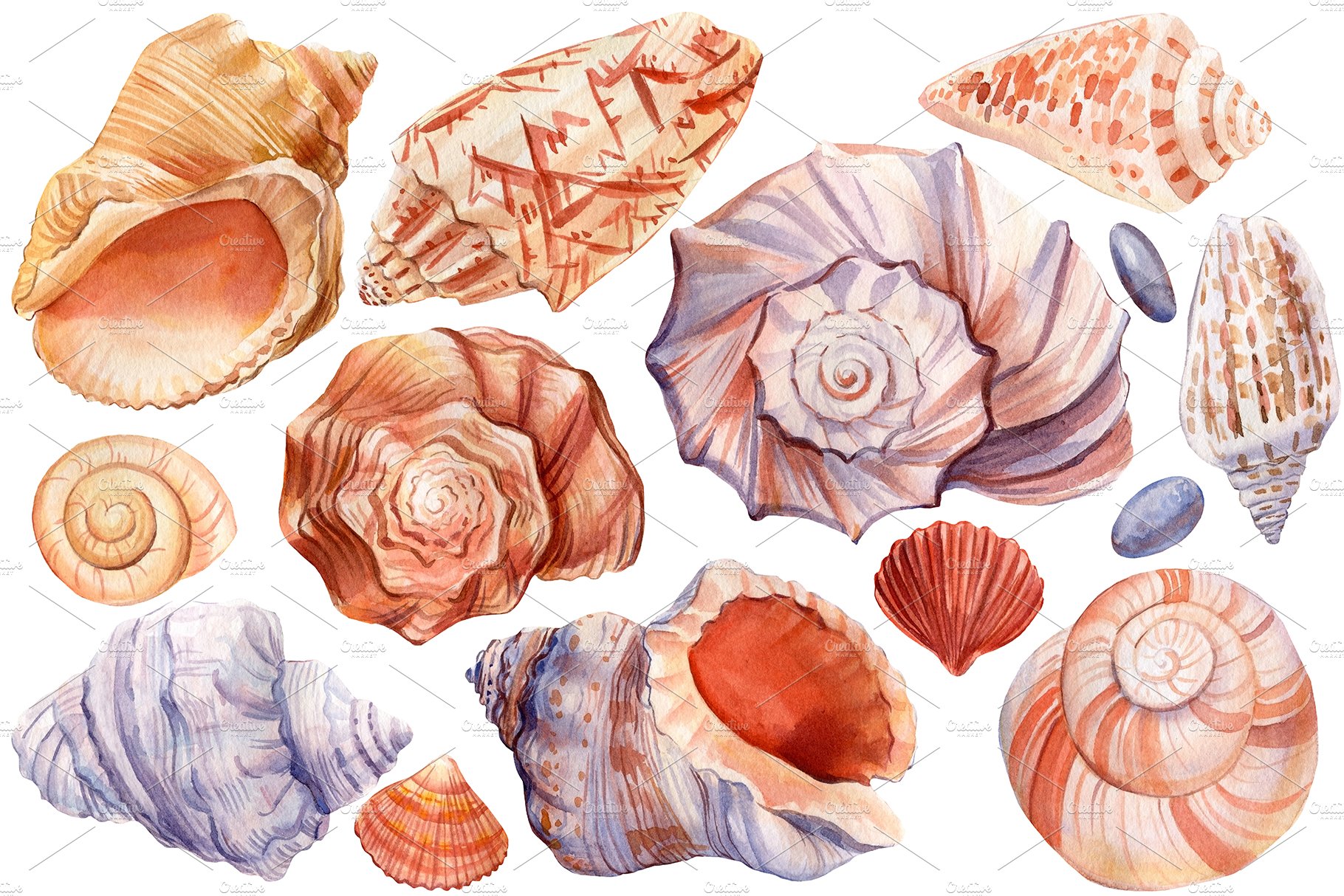 Seashells Fish Sea Watercolor: Over 936 Royalty-Free Licensable Stock  Vectors & Vector Art