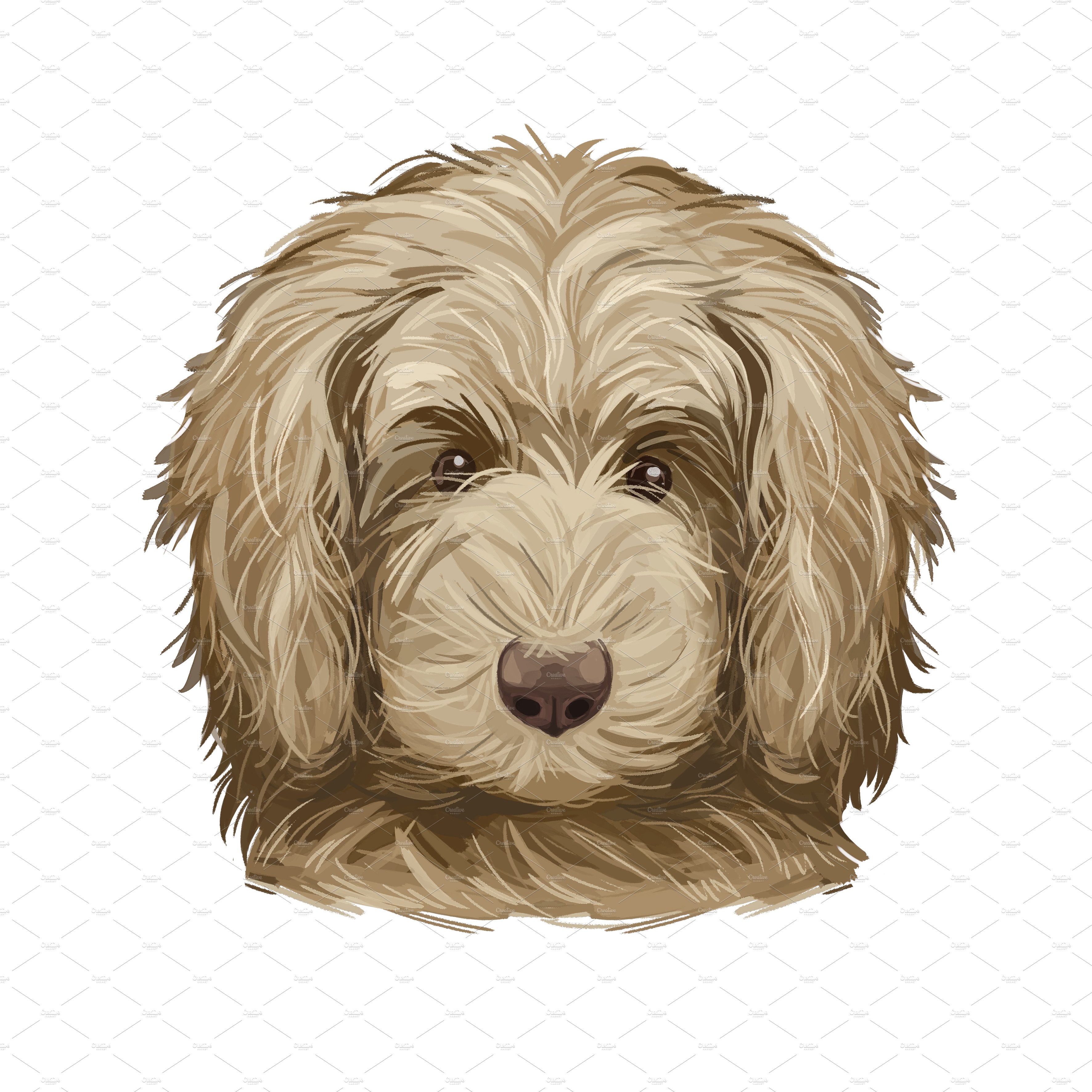 7. goldendoodle puppy 28129 684