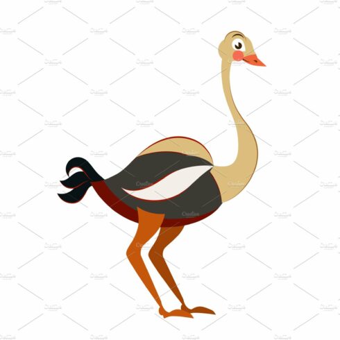 Cute ostrich in flat isolated cover image.