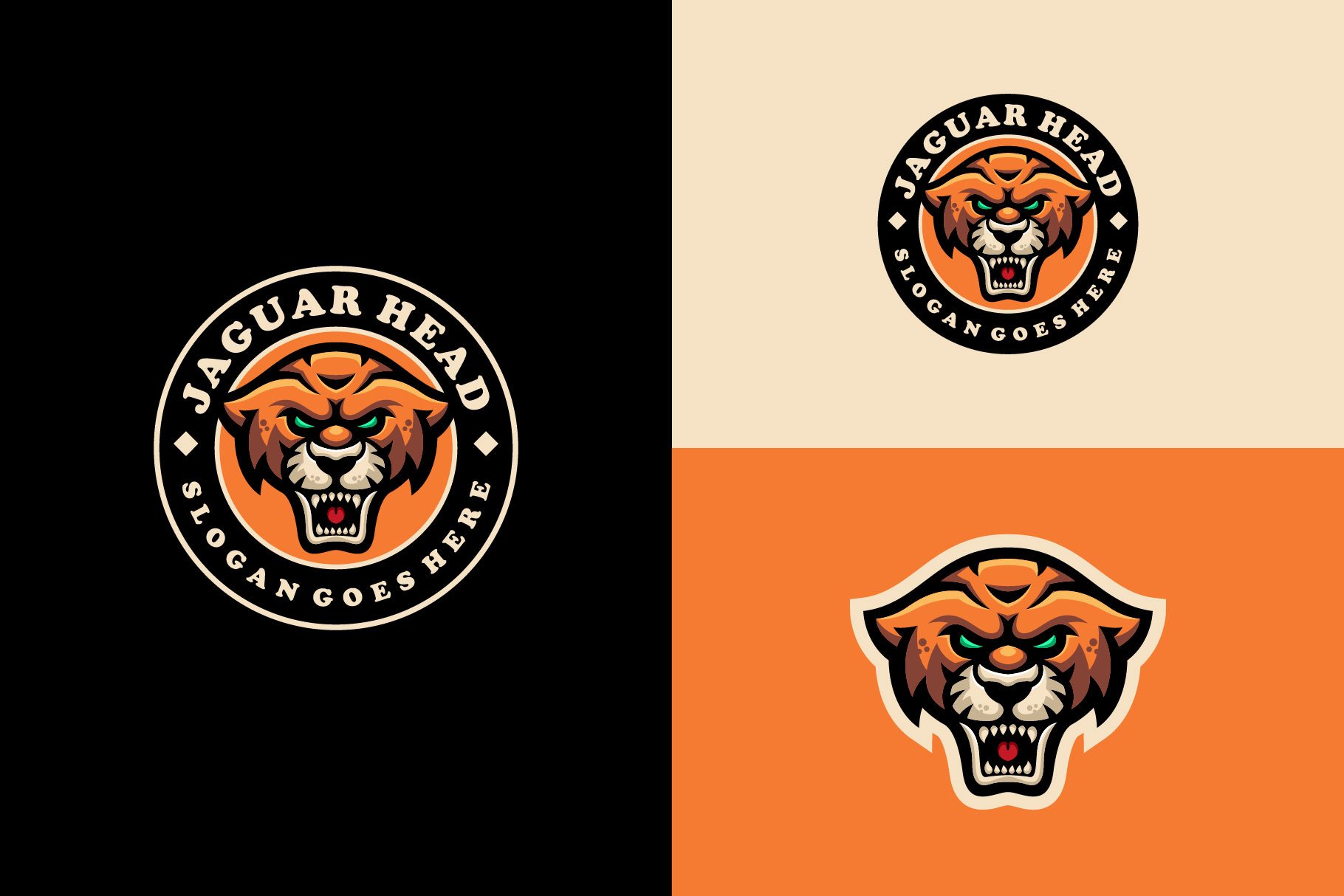 Jaguar Leopard  Emblem Mascot logo cover image.