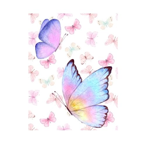 Painting of two butterflies on a white background.