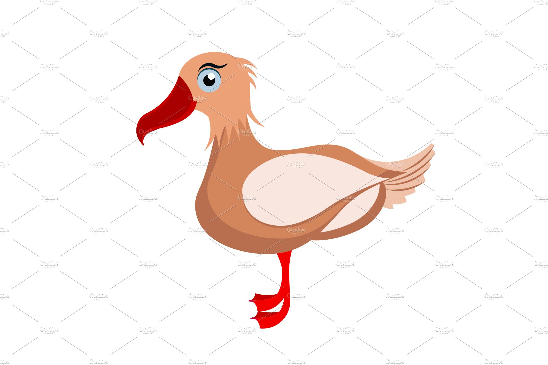 Cartoon seagull in flat style cover image.