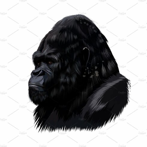 Gorilla head portrait cover image.