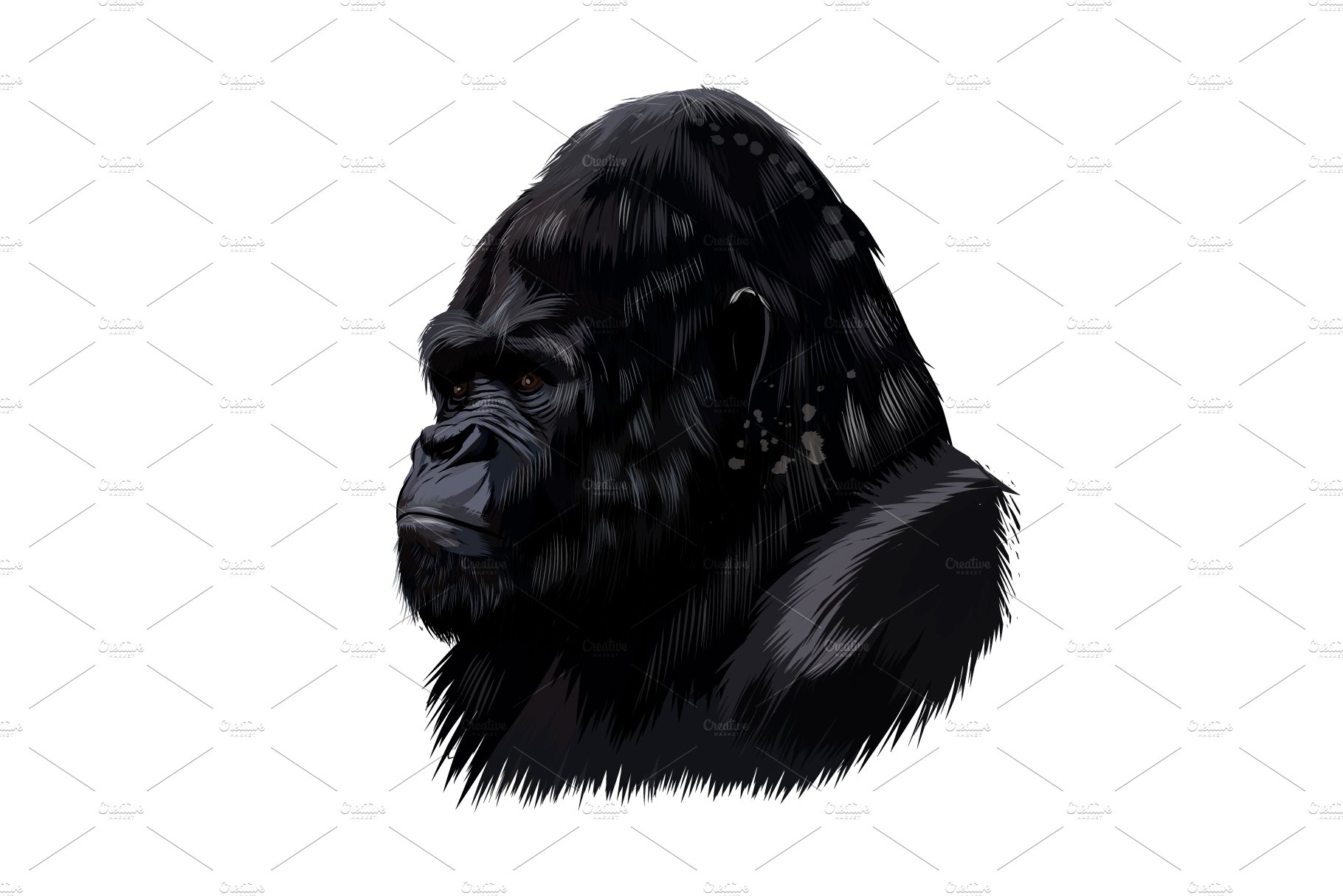 Gorilla head portrait cover image.