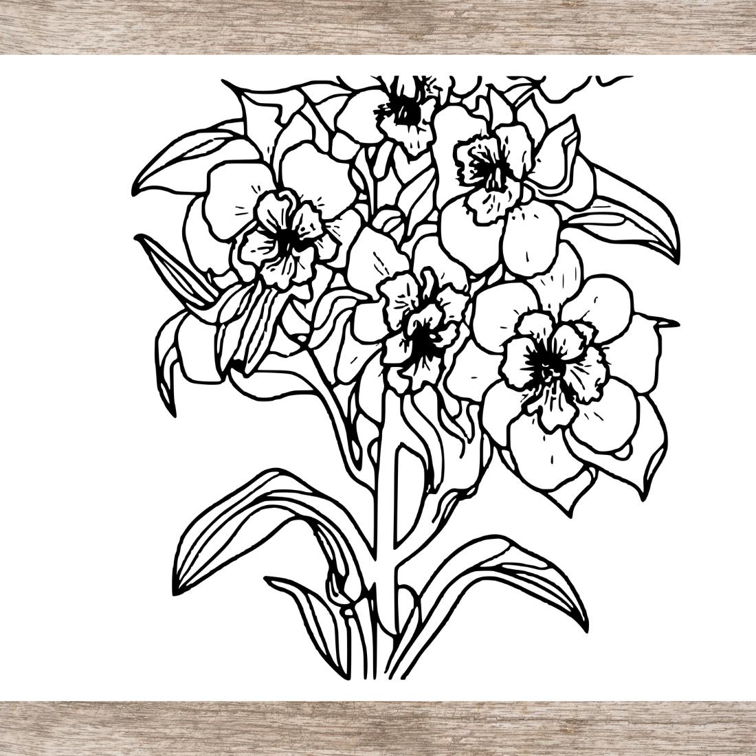 6 Flower Drawing Floral Coloring Pages bundle For Adults (SVG and PNG ) for KDP low content self-publishing preview image.