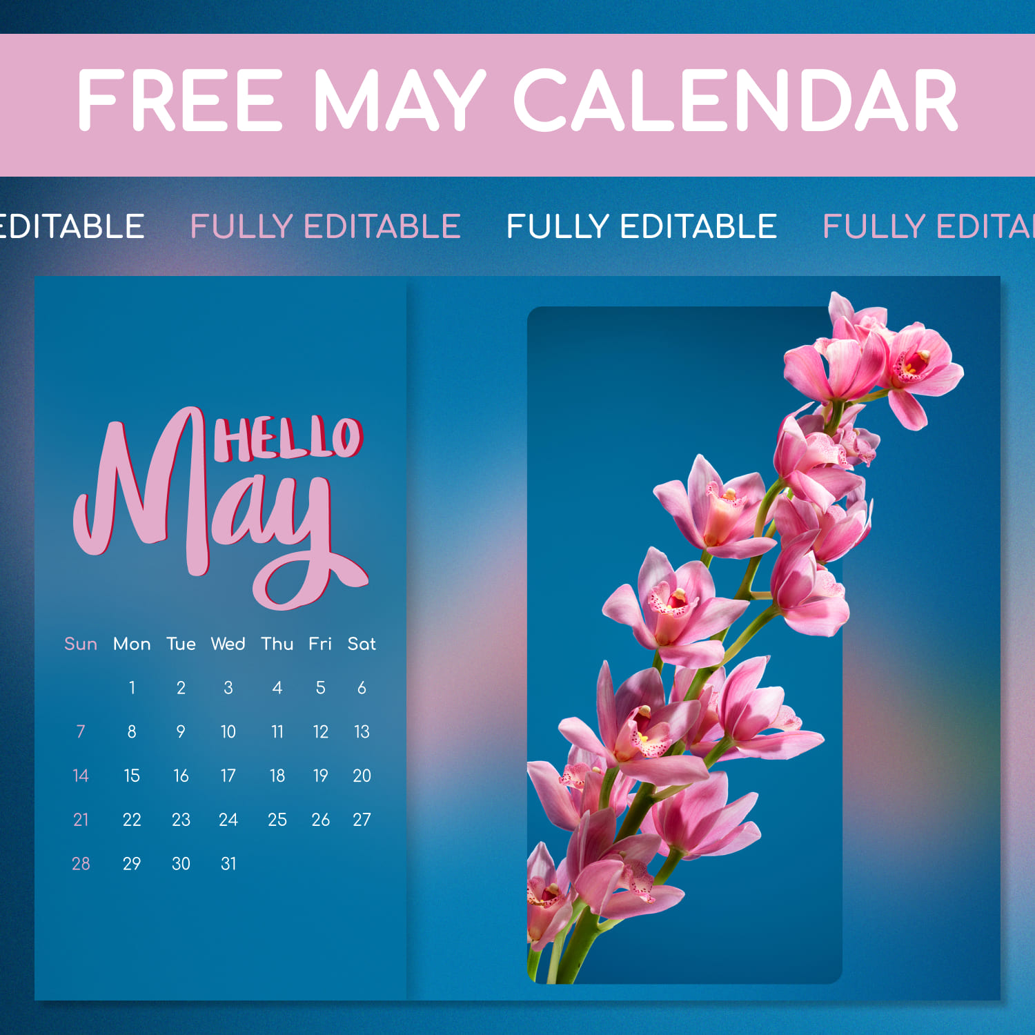 Free Printable May Calendars MasterBundles