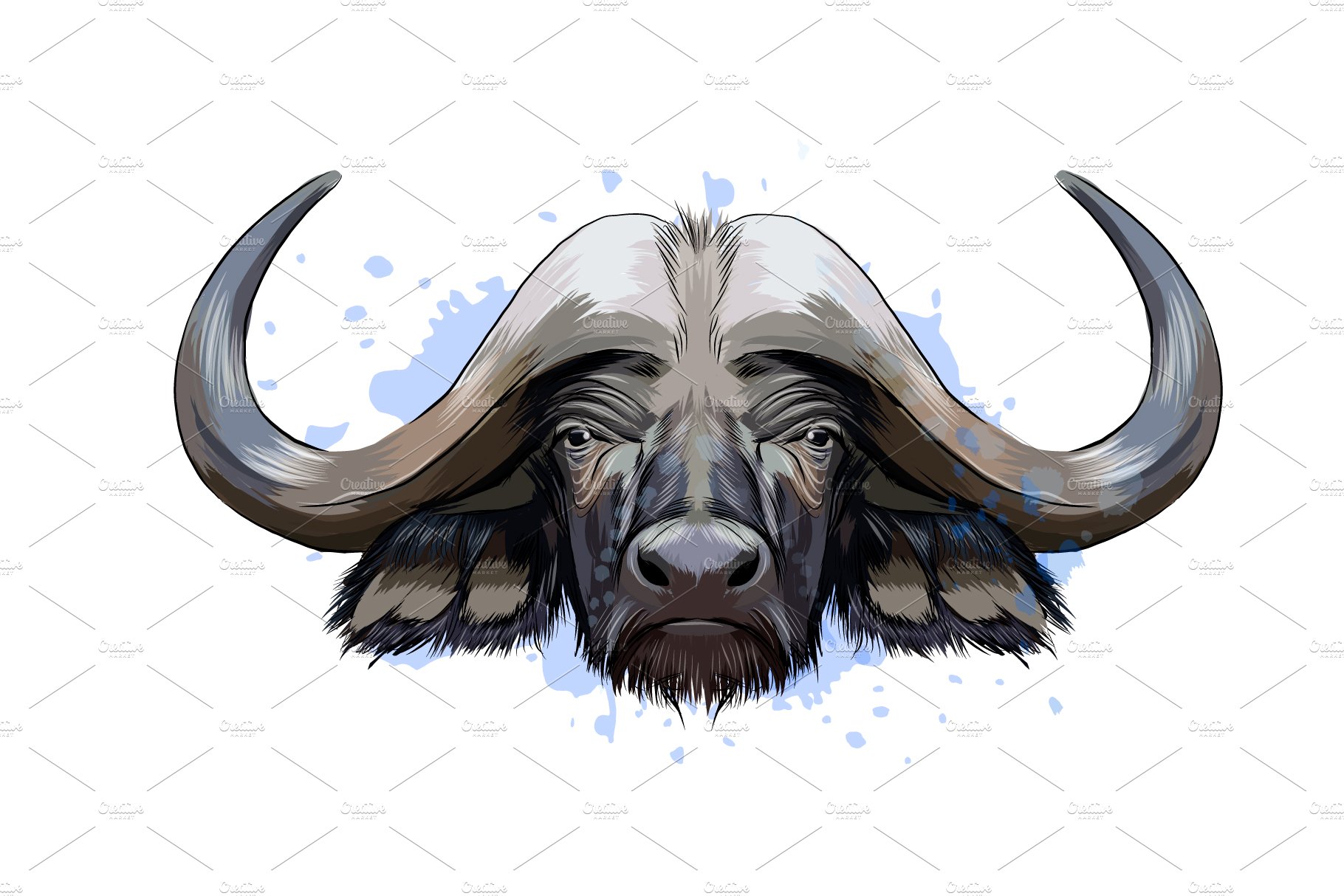 Buffalo, bison,ox, bull Hipster animal Hand drawn image for tattoo, emblem,  badge, logo, patch, t-shirt Stock Illustration by ©Helen_F #150140866