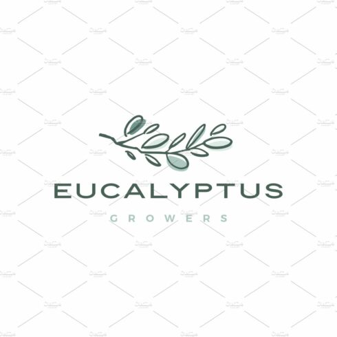 eucalyptus logo vector icon cover image.