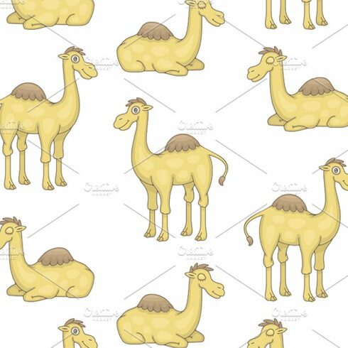 Set of Camels and Pattern cover image.