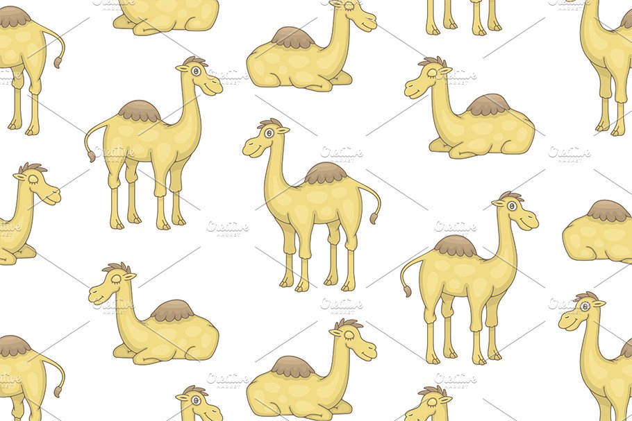 Set of Camels and Pattern cover image.