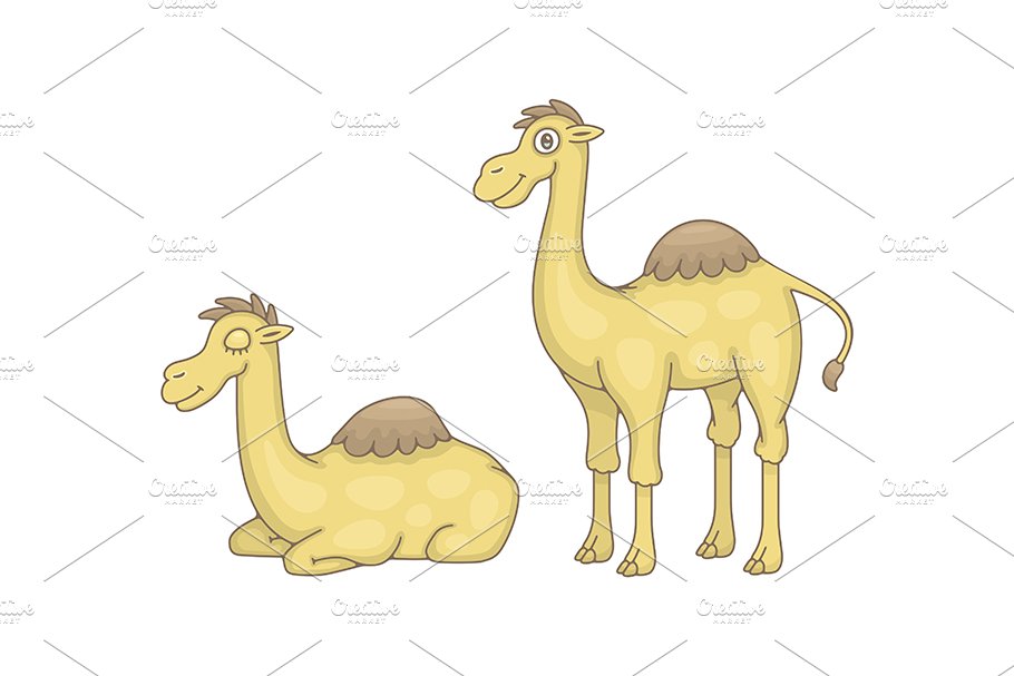 Set of Camels and Pattern preview image.