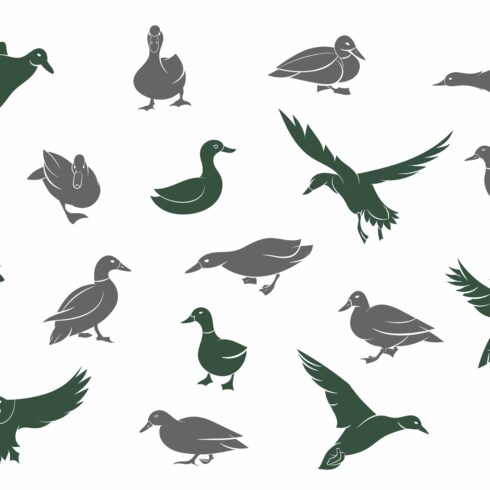 Silhouettes of ducks. cover image.