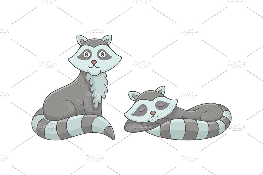 Set of Raccoons and Pattern preview image.