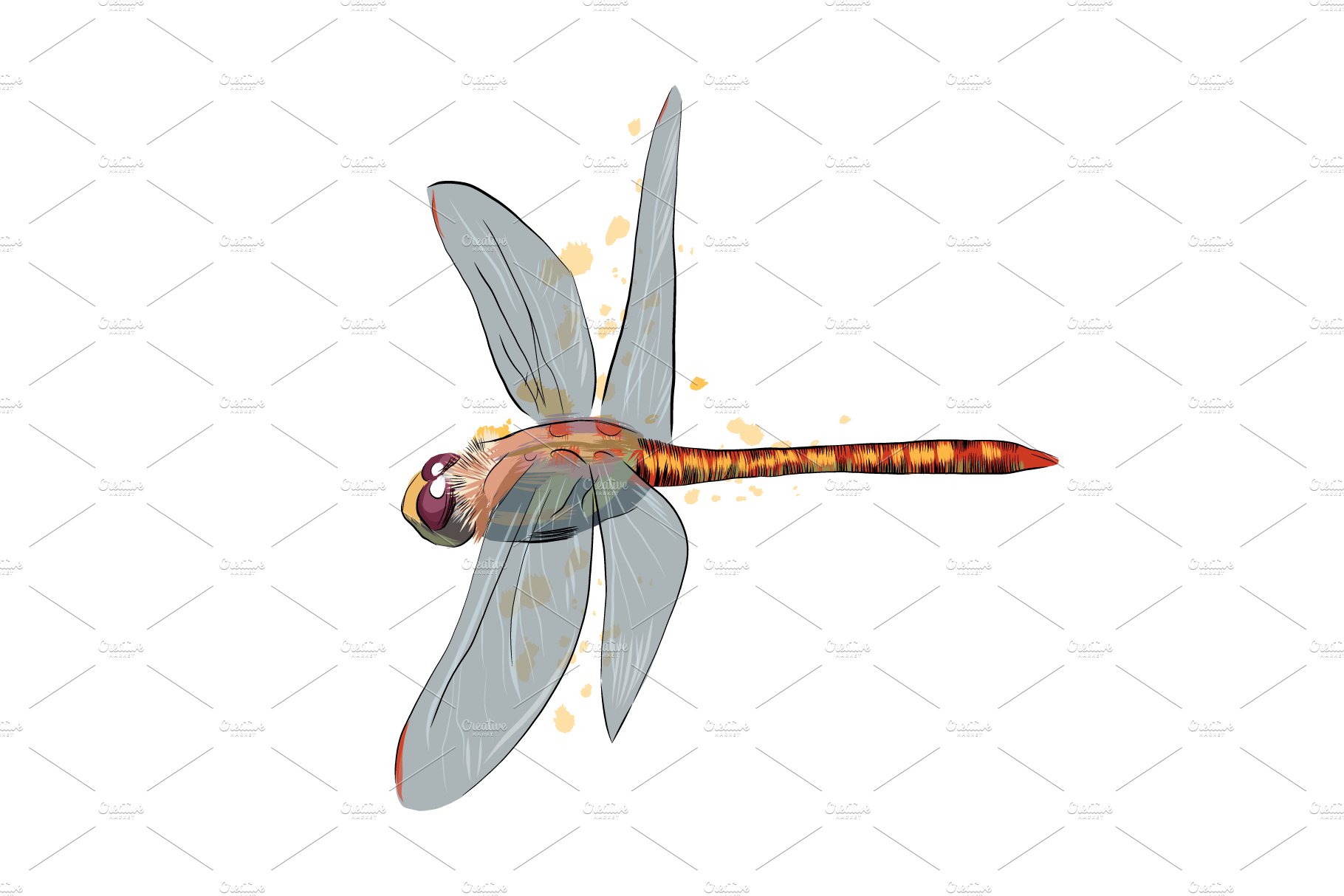 Dragonfly from a splash cover image.