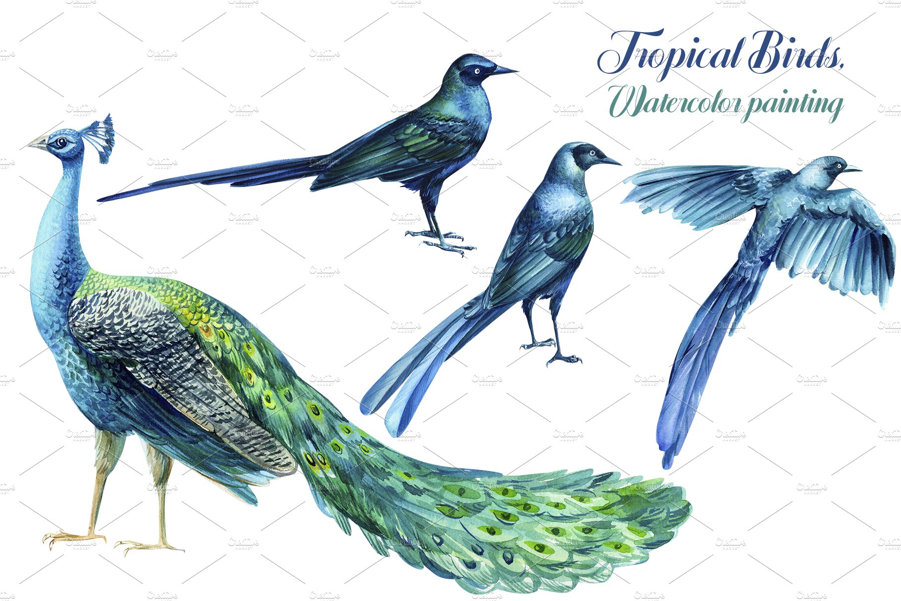 Tropical Birds, Watercolor painting preview image.