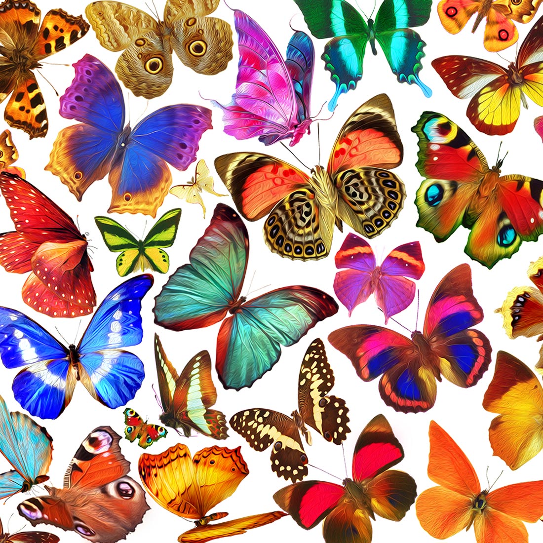 Realistic Butterflies preview image.