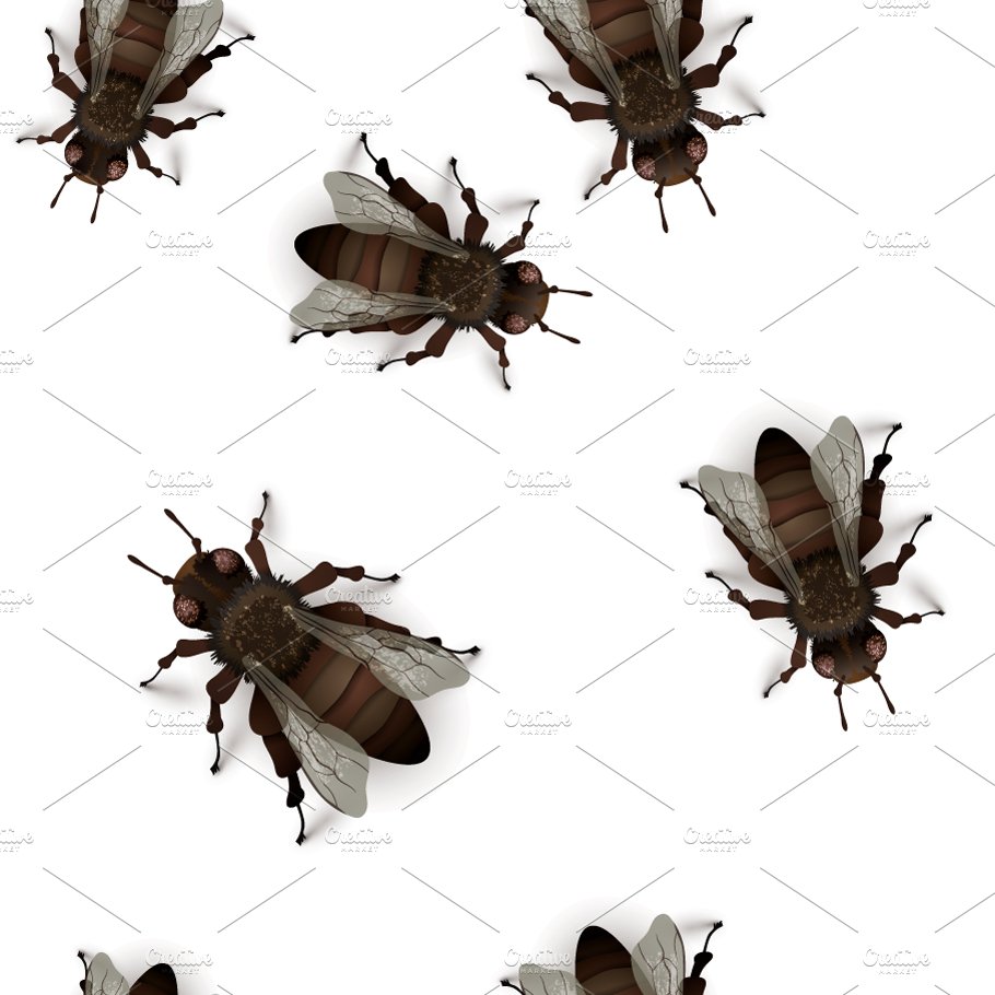 Detailed realistic flies pattern cover image.