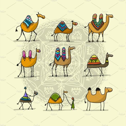Camels collection, sketch for your cover image.