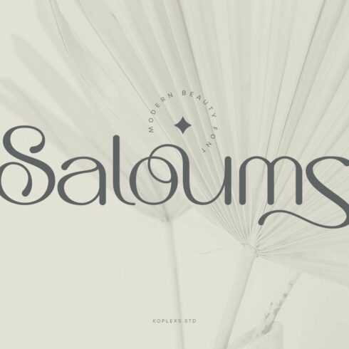 Saloums - Modern Sans Serif Font cover image.