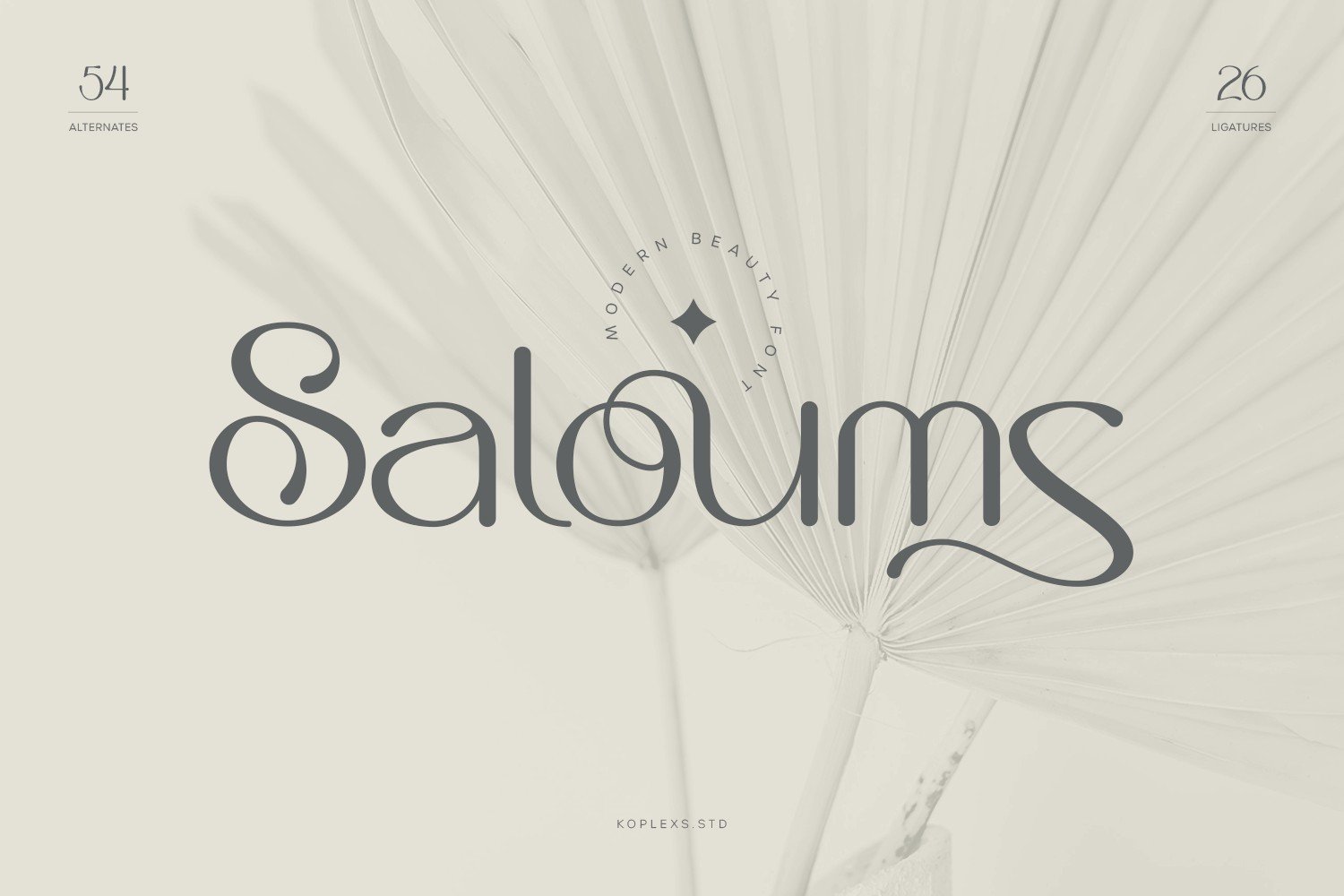 Saloums - Modern Sans Serif Font cover image.