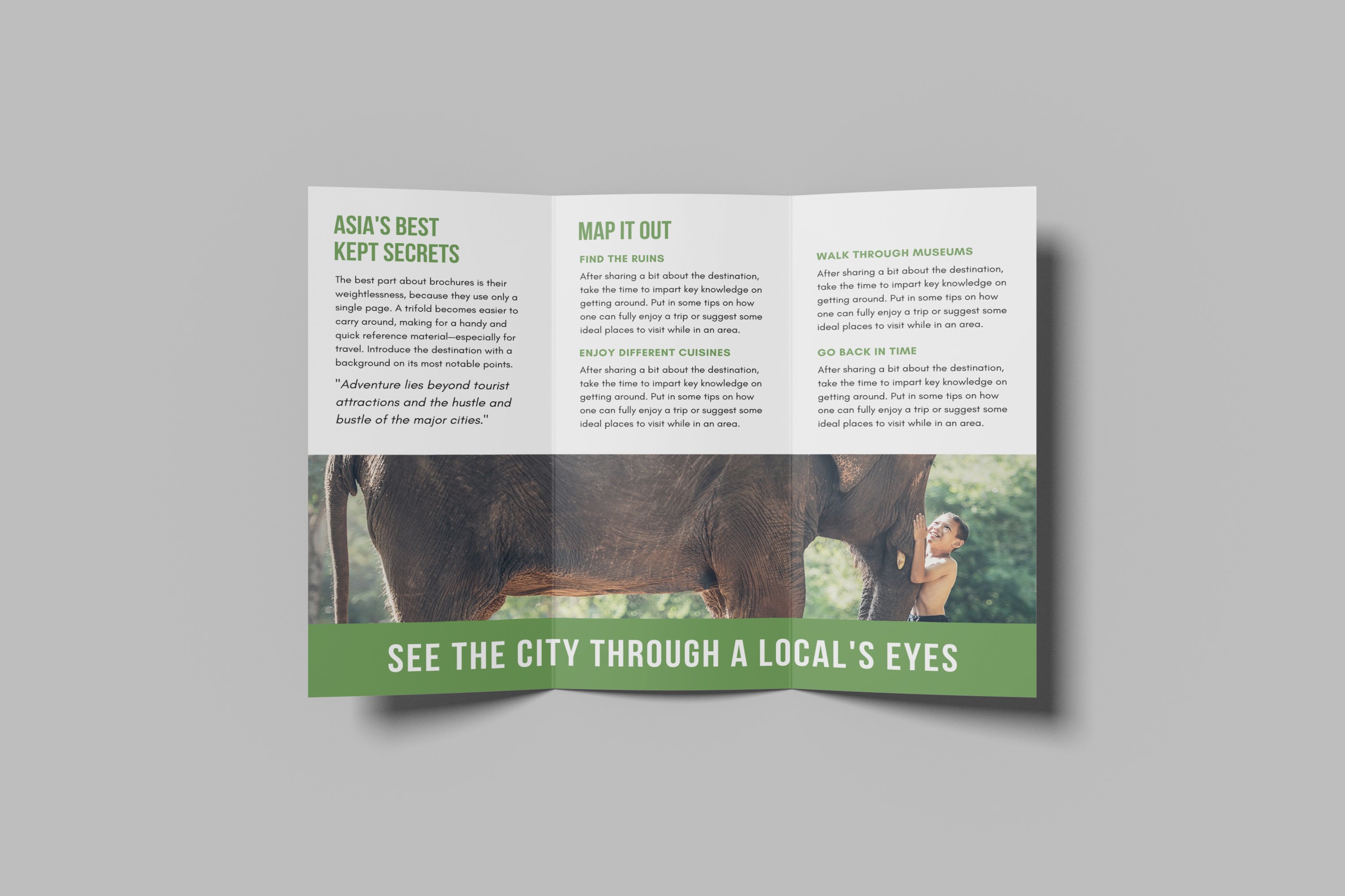 a4 trifold brochure 2 788