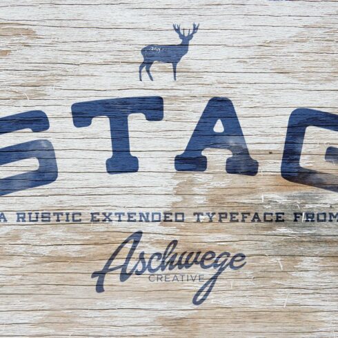 Stag cover image.
