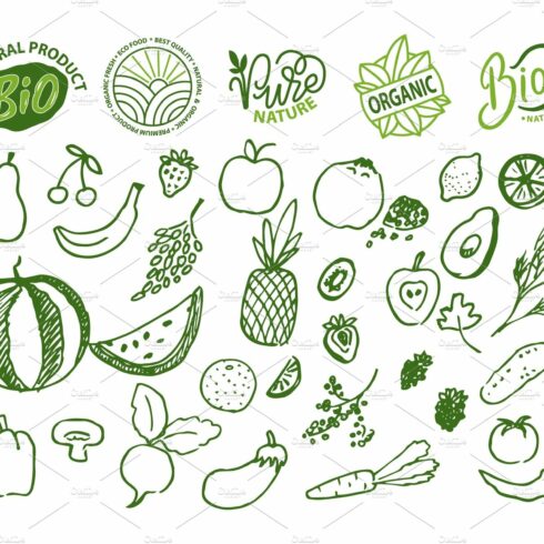 Bio Food and Ingredients, Fruits and cover image.