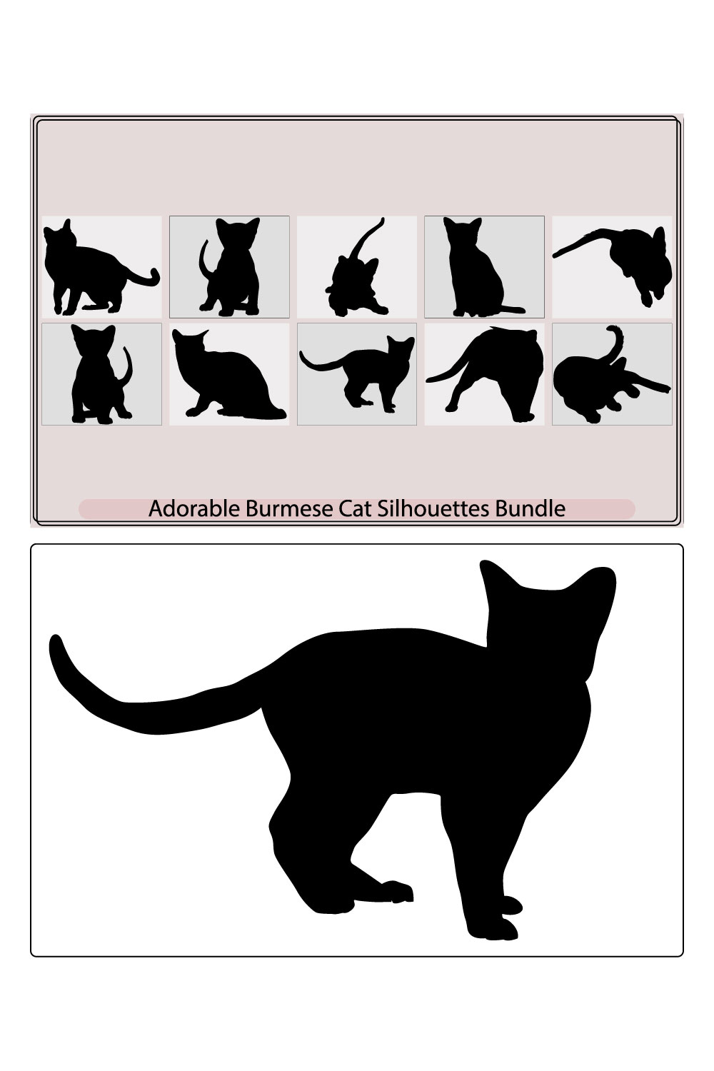 Cat line and glyph icon animal zoo pet sign Vector Image