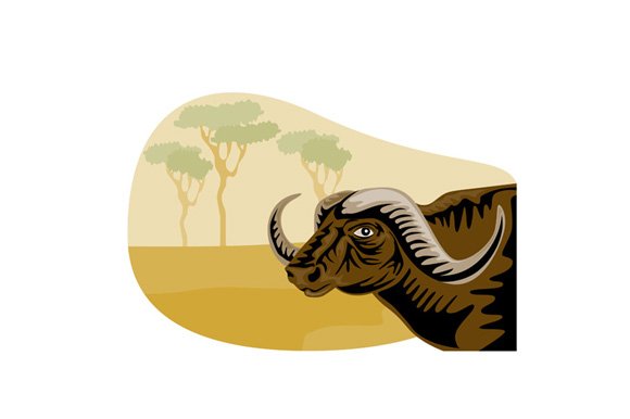 African Buffalo Retro cover image.