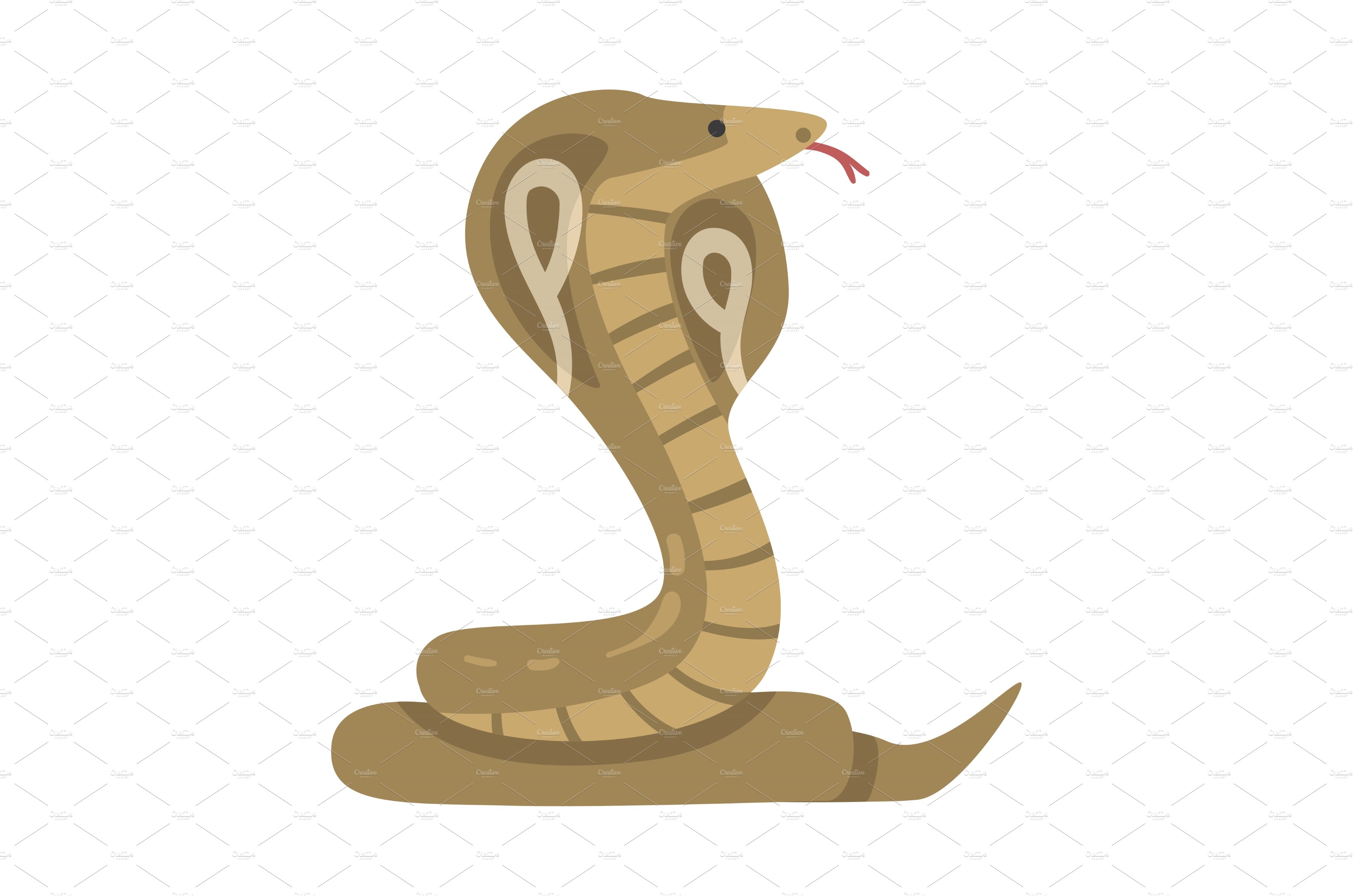 Cobra African Snake, King Cobra cover image.