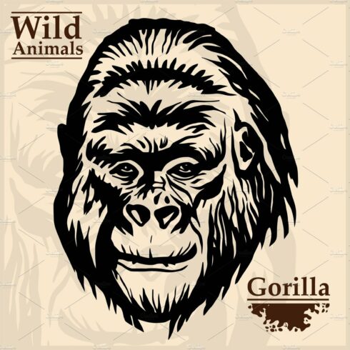 gorilla head vector graphic cover image.