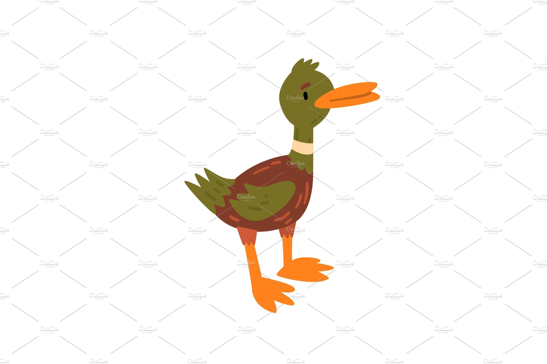 Cute Male Mallard Duckling Cartoon cover image.