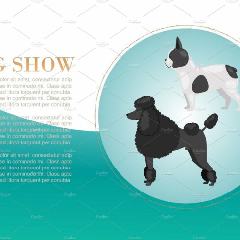 Dog show with poodel and bulldog cover image.