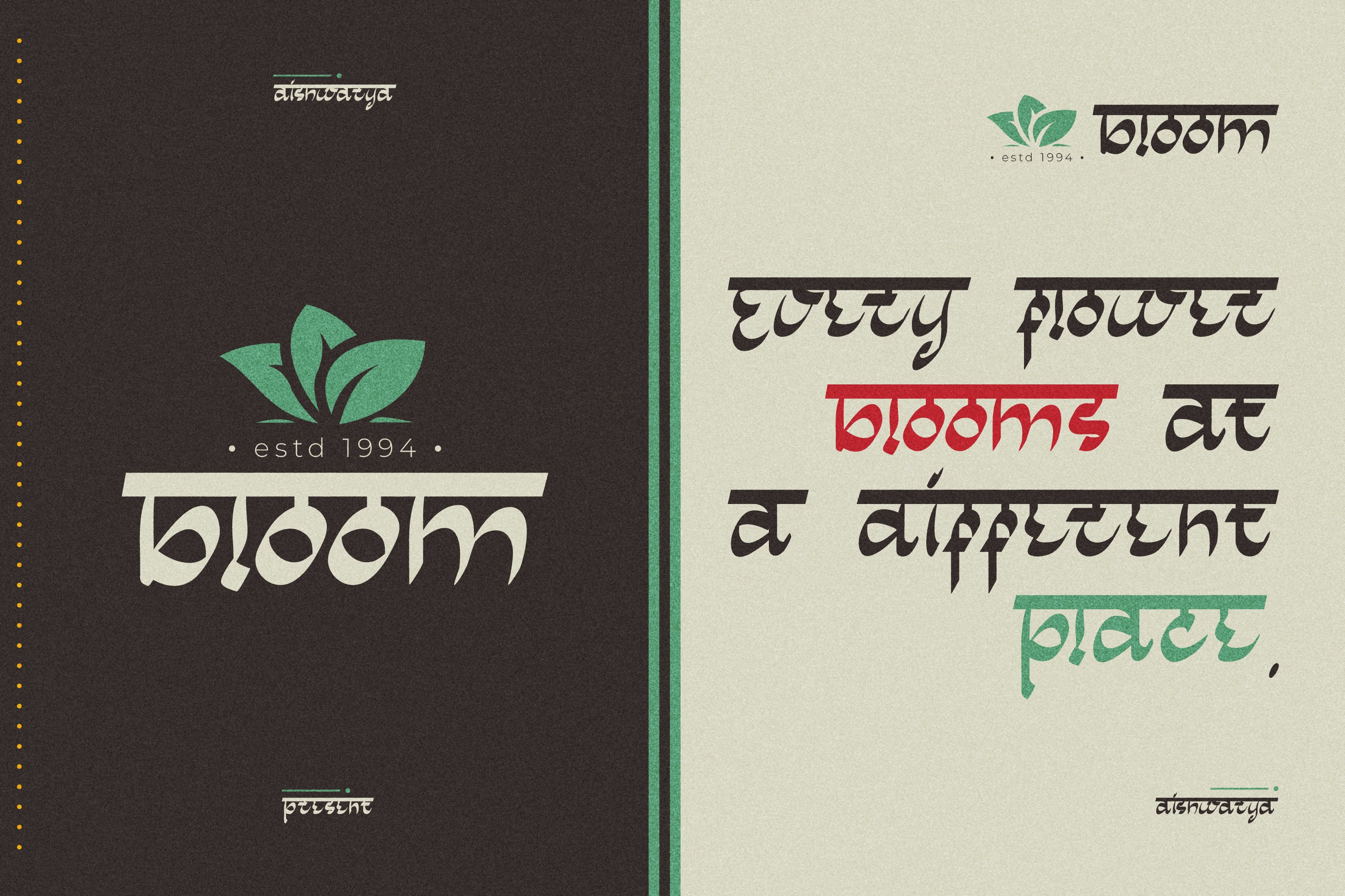 Aishwarya Indian Serif preview image.