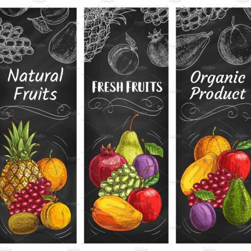 Fruits sketch banners, farm market cover image.