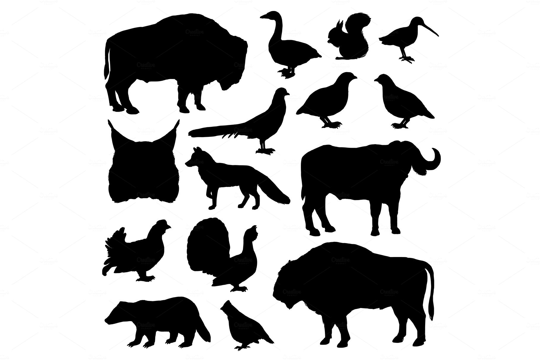 Hunting birds and animal silhouettes cover image.