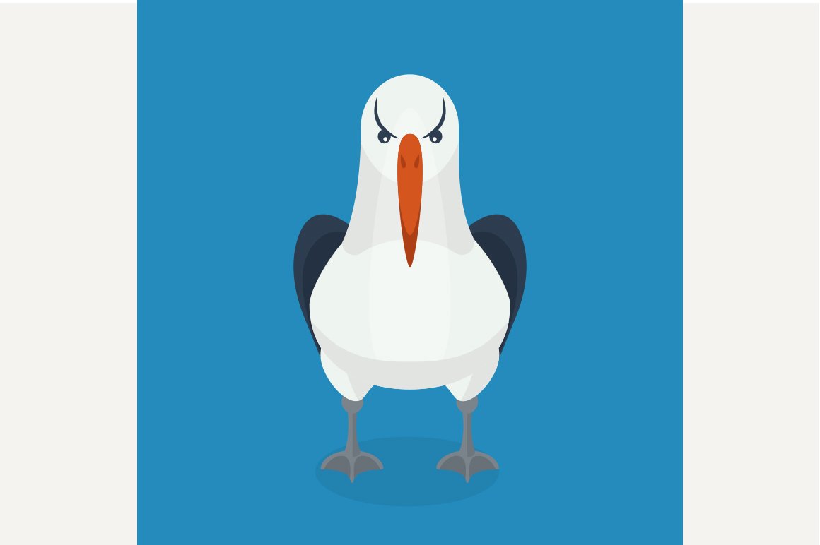 Albatross bird cover image.