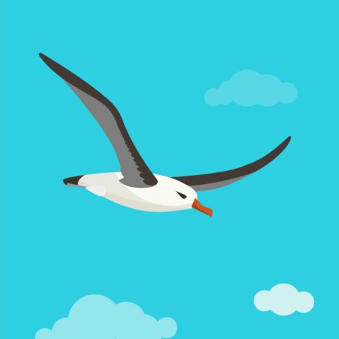Albatross is flying in cloudy sky cover image.