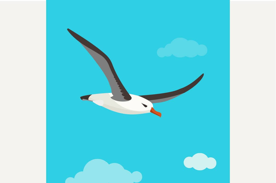 Albatross is flying in cloudy sky cover image.